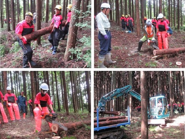 間伐研修の様子