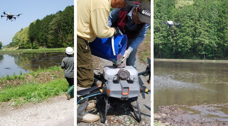 ドローン直播の様子