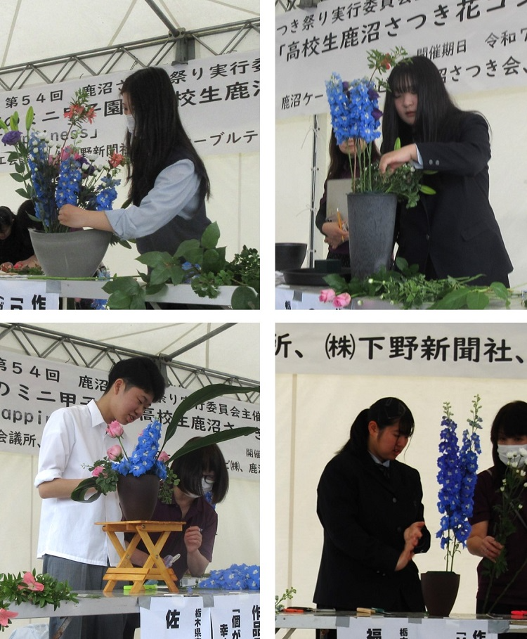 さつきコンテスト