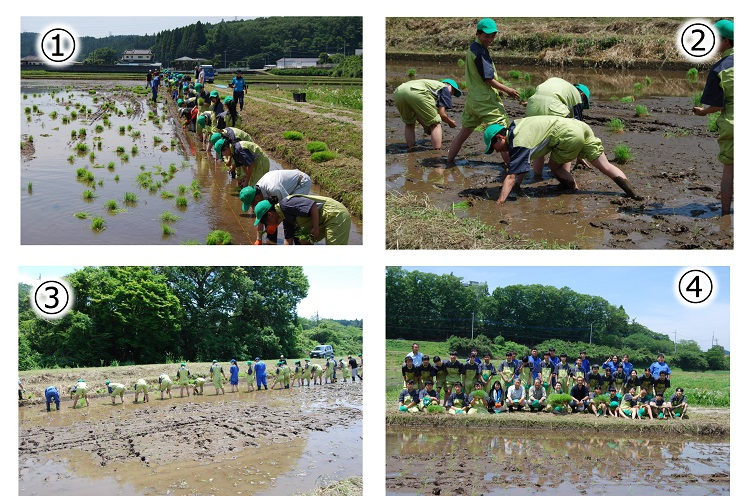 田植え実習