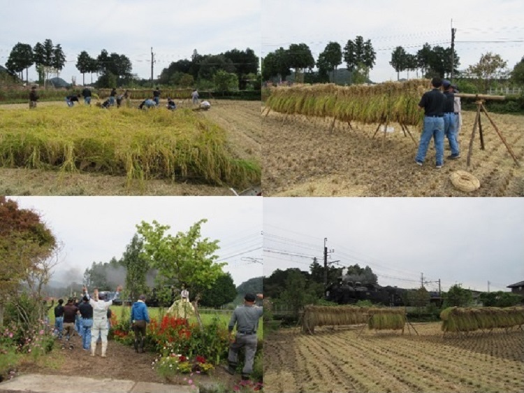 鹿沼南ＳＬ田んぼ