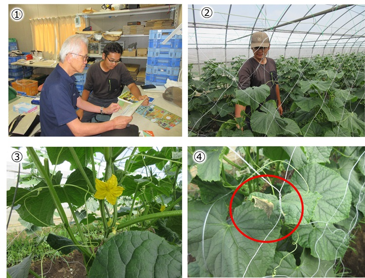 意見交換の様子