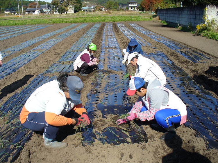 農福インターンシップ１