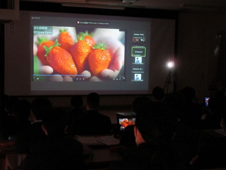 栃木県のイチゴの紹介