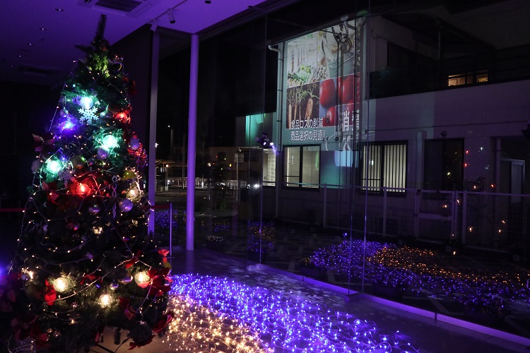 さくら市プロジェクションマッピング2