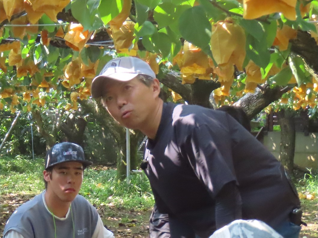 梨園でのフィールドワークの様子