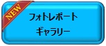 フォトレポートギャラリー