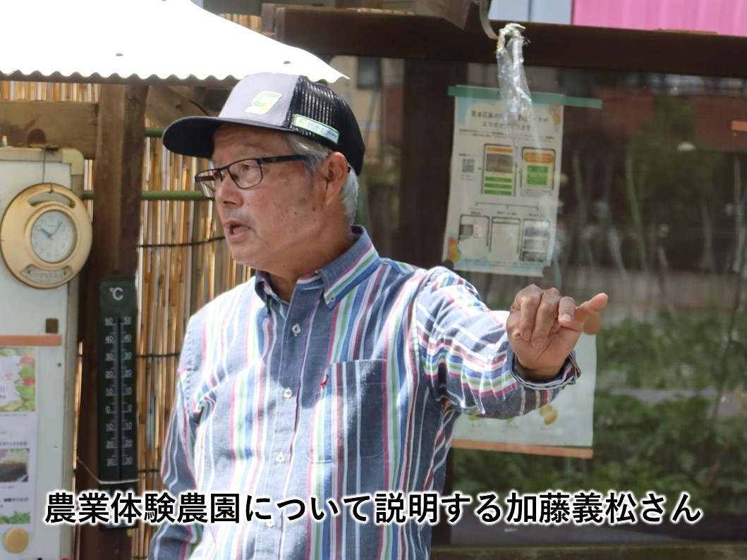 練馬区南大泉の加藤農園