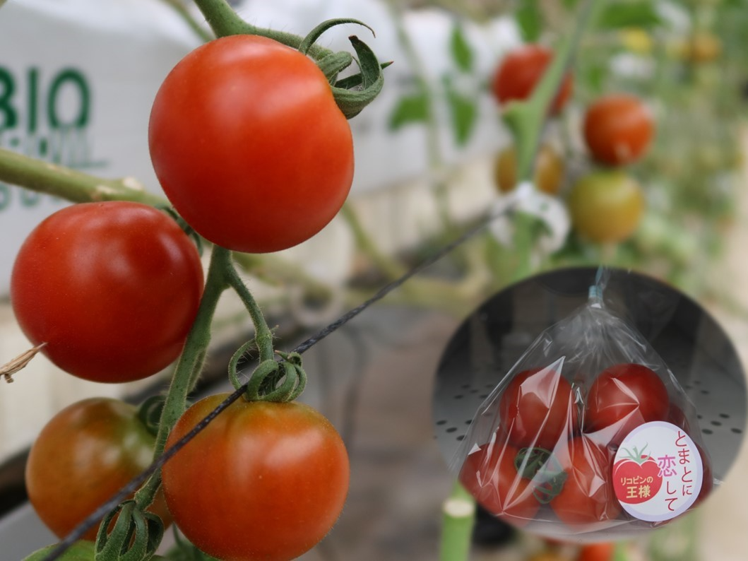 調布市の若手生産者