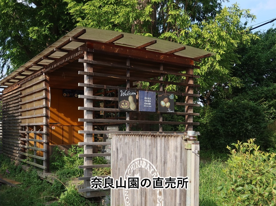 奈良山園の直売所