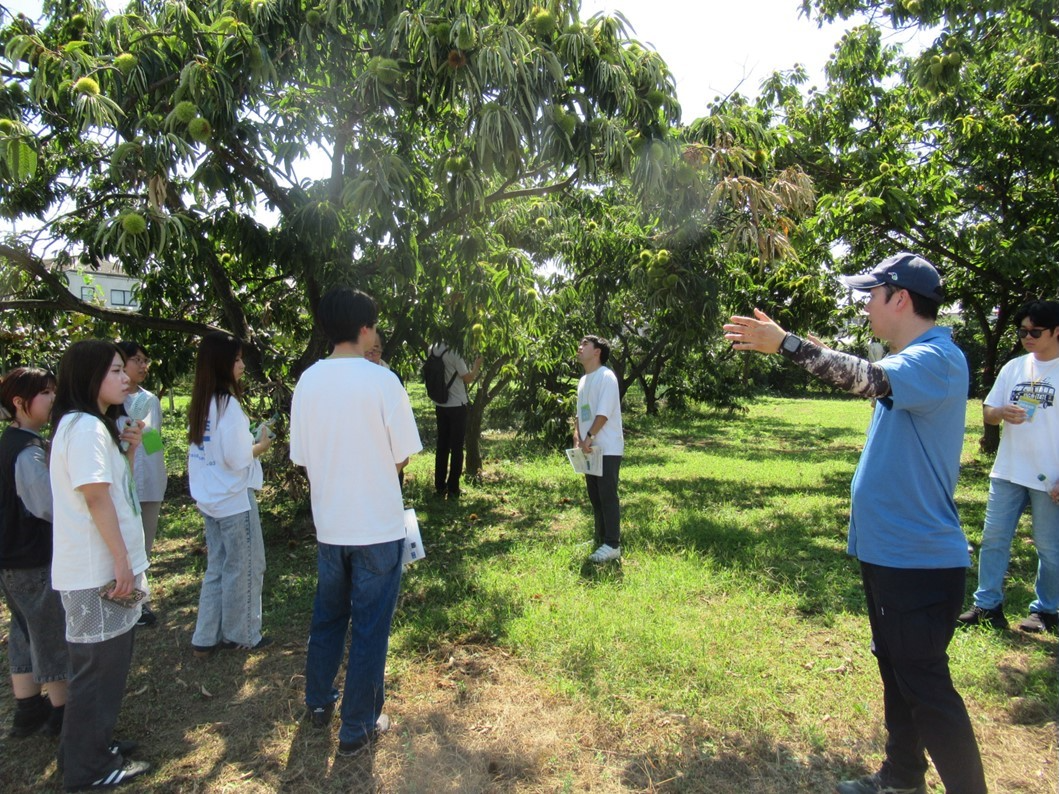 栗の木の下で学生たちに説明する吉野さんの写真です