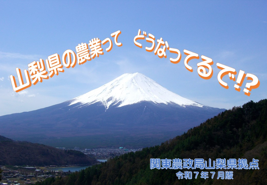 山梨県内の農業の概要