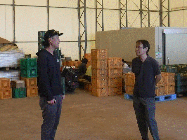 関東農政局長及び次長山梨県下視察