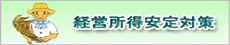 経営所得安定対策に関する情報を紹介しているページにジャンプします