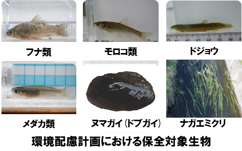 ワンドイメージ図