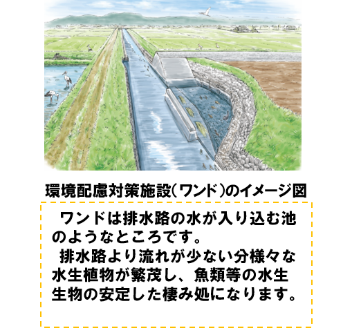 ワンドイメージ図