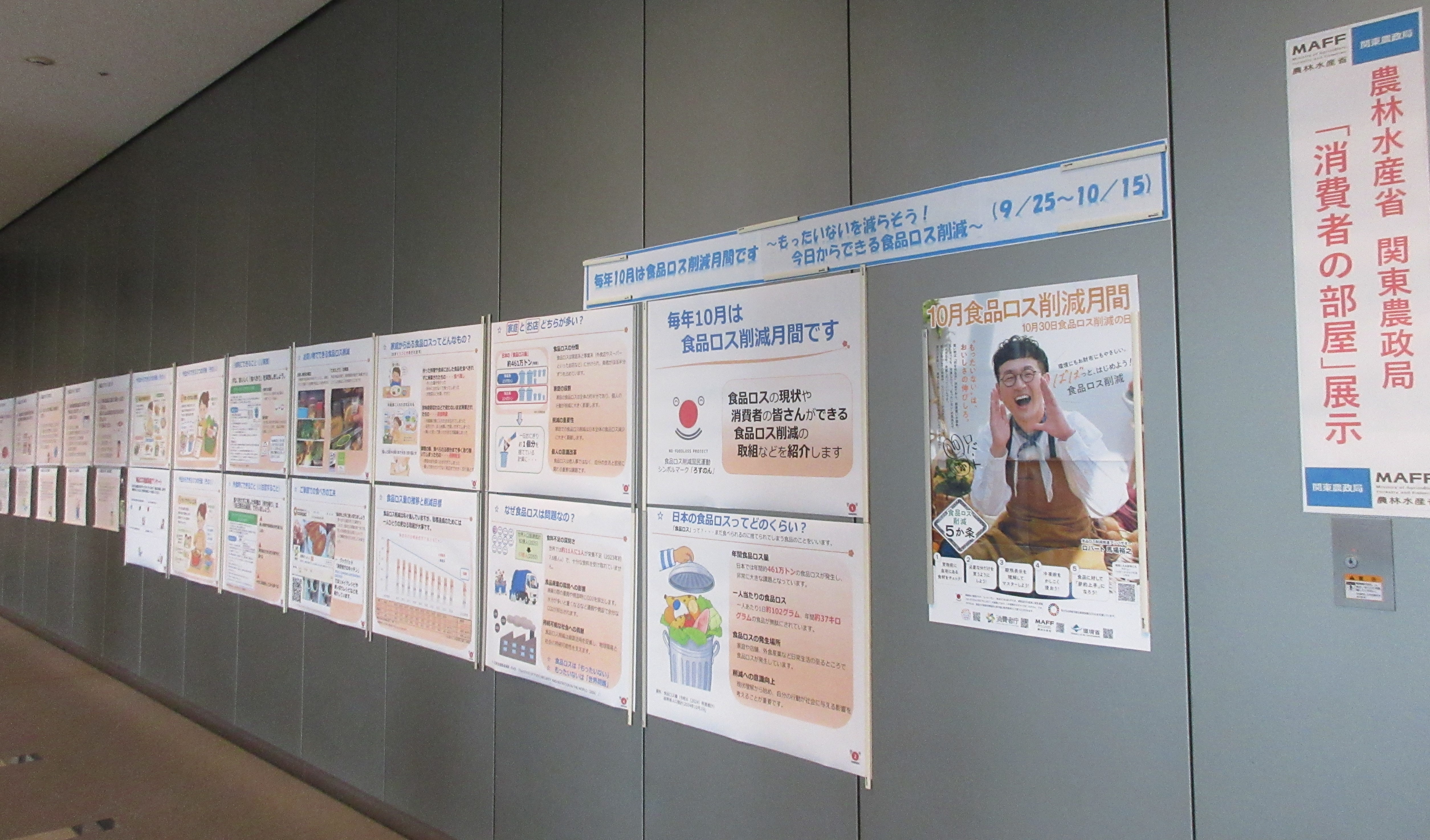 展示の様子