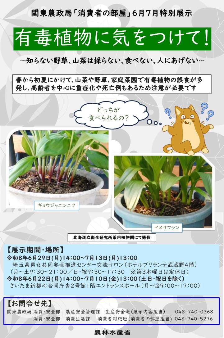 展示のチラシ