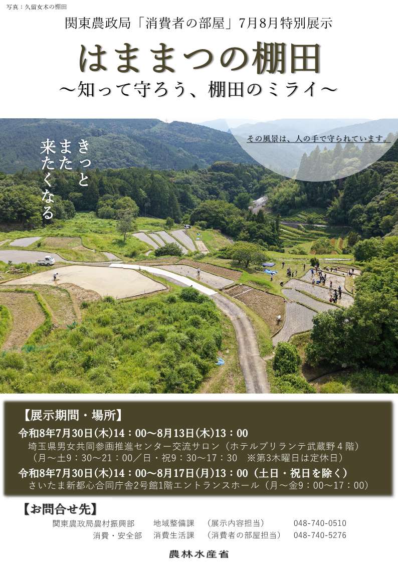 展示のチラシ