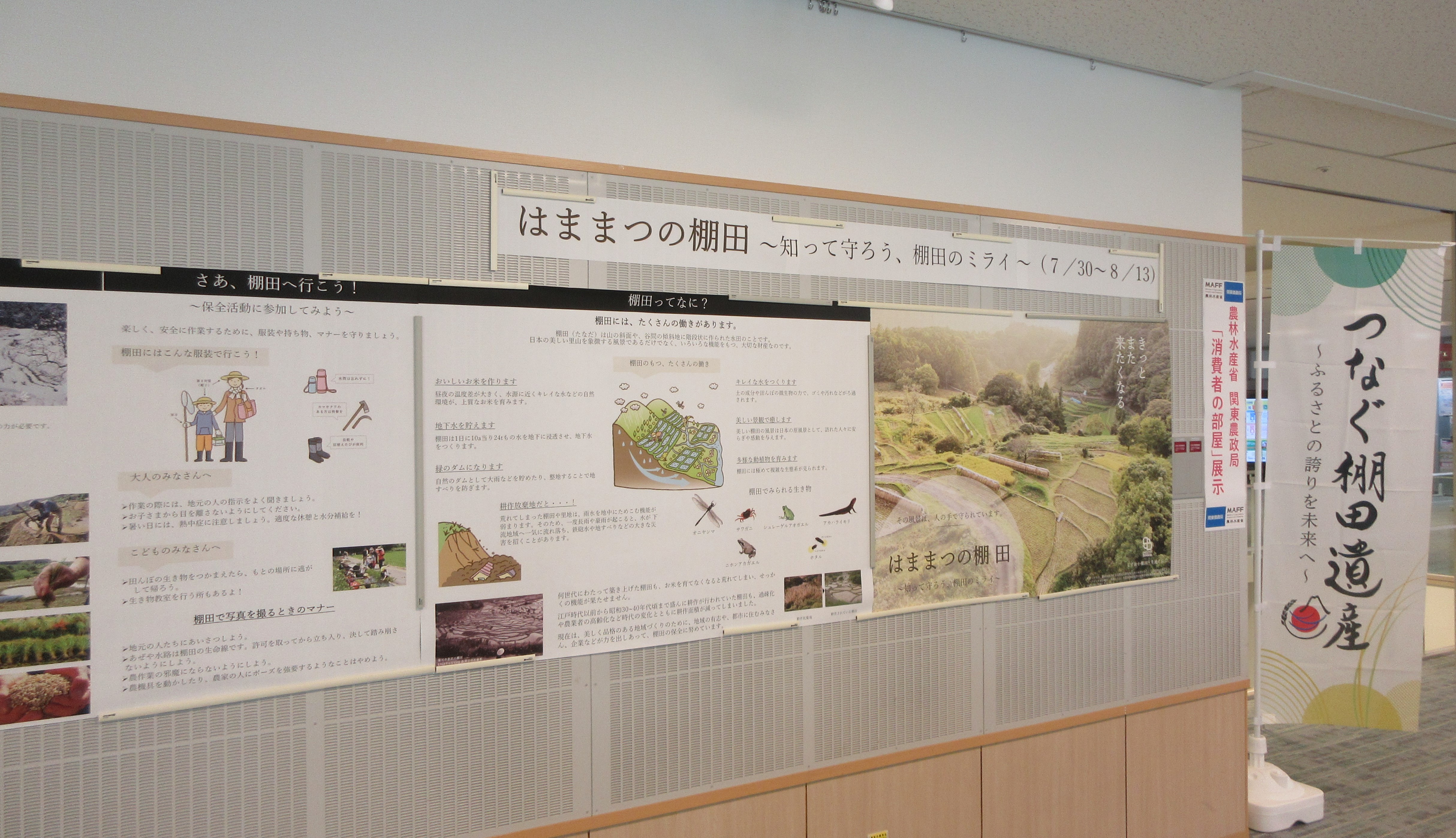 展示の様子