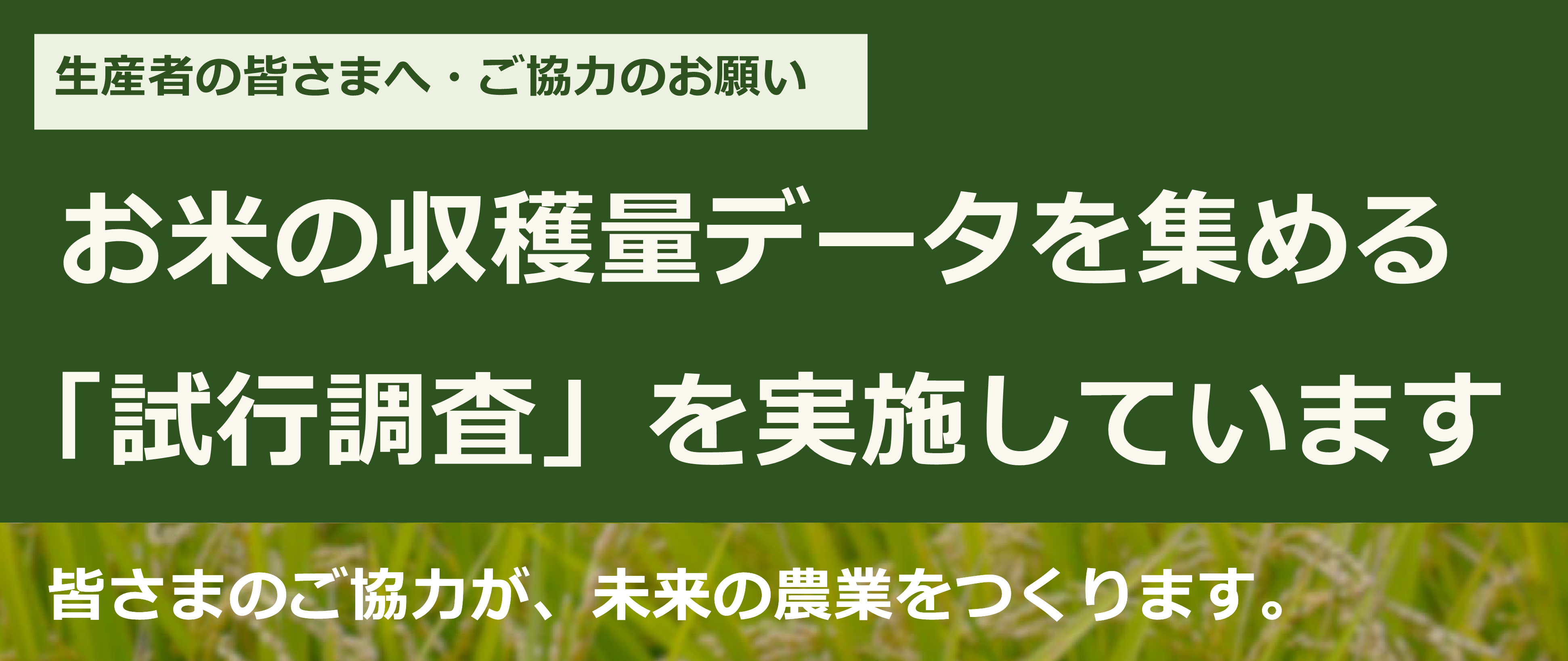 お米の収穫量データを集める「試行調査」を実施しています