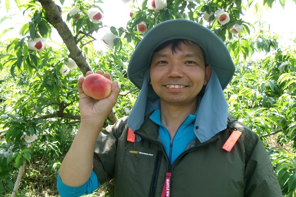 「こだわりの高糖度の桃を、和歌山・山東の地から届けたい！」