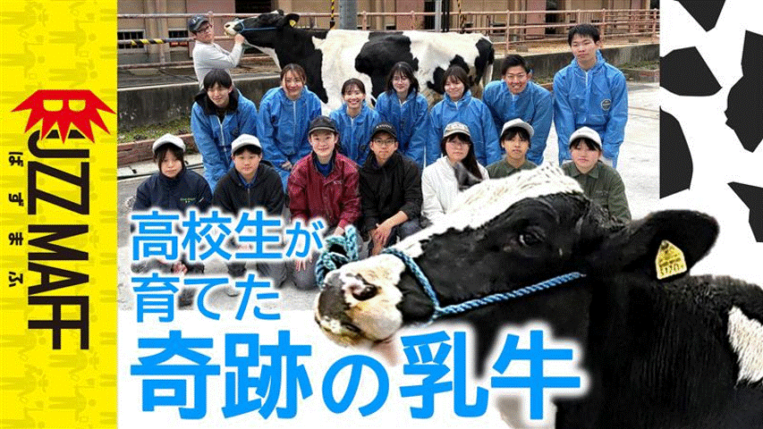 牛と高校生の記念写真