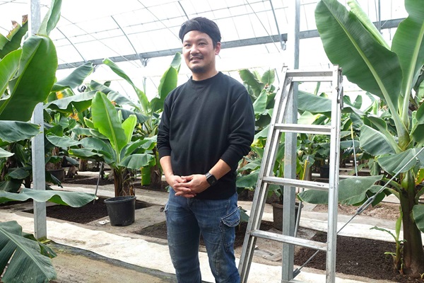 京都初！ 皮ごと食べられる農薬不使用の国産バナナを栽培する生産者
