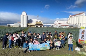 パール野菜　ブロッコリー収穫体験