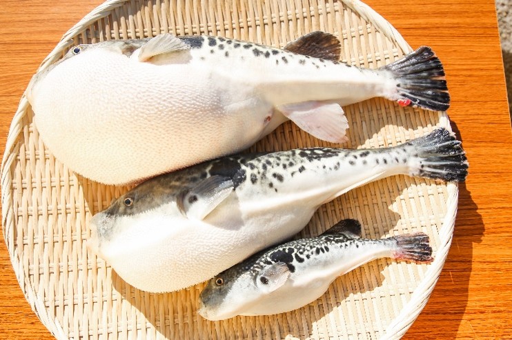 上から３年もの、２年もの、１年もの