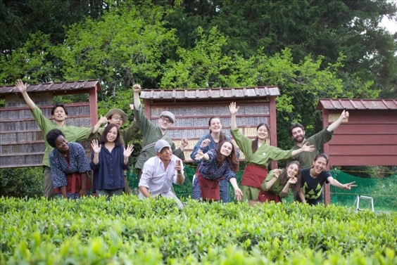 お茶の通販・京都おぶぶ茶苑合同会社