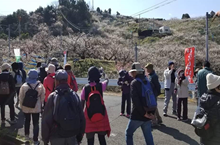 梅遊びグループ