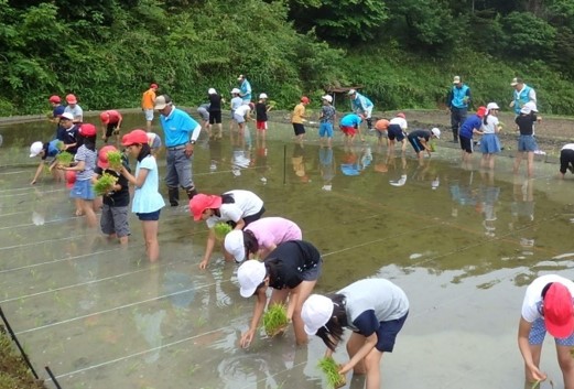 里山ひだまりファーム