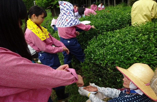 八日市南高等学校