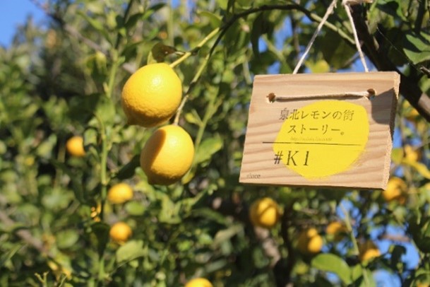 レモンの街ストーリー