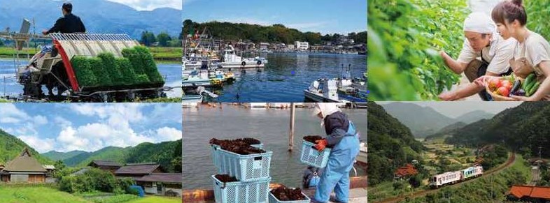 農山漁村地域づくりホットライン１