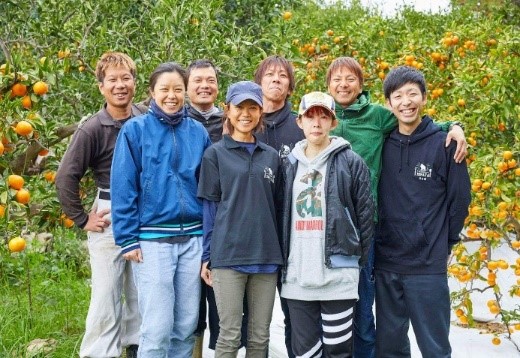 株式会社日向屋