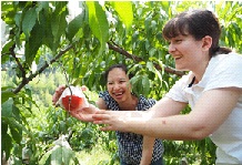 紀の里農業協同組合