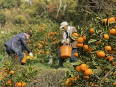 有田つくし福祉会