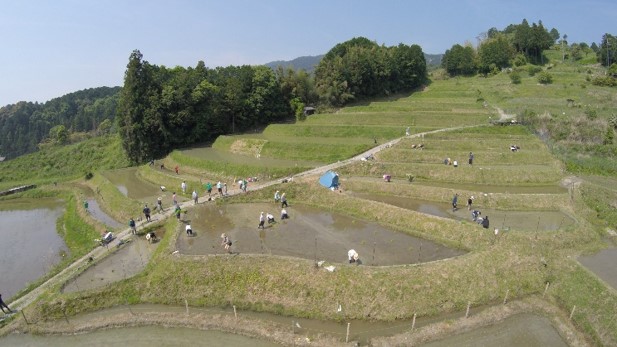 近畿_仰木自然文化庭園構想八王寺組