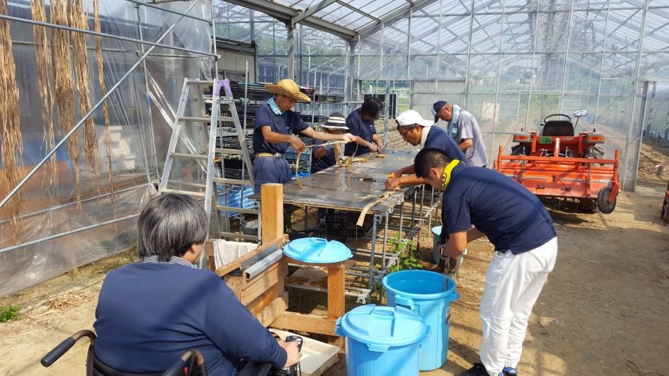 小野の駅(浄谷農園内ミツマタ加工場：白皮むき作業)