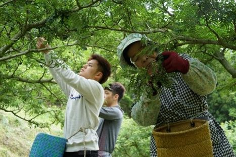 有田川町×龍谷大学