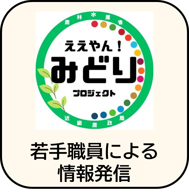 若手職員による情報発信