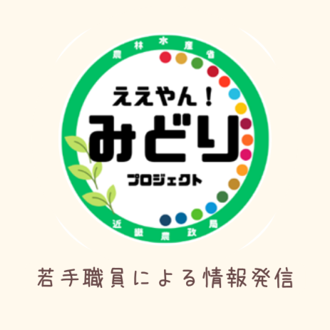 若手職員による情報発信
