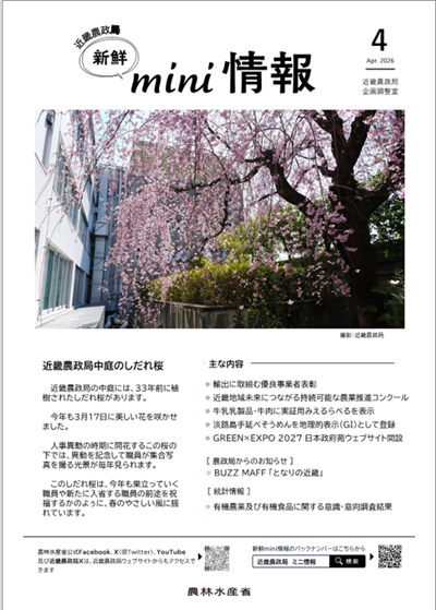新鮮mini情報4月号