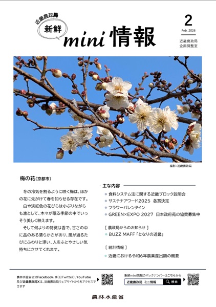 新鮮mini情報2月号