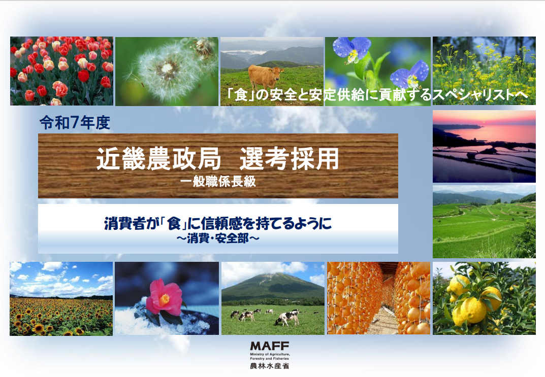 消費安全部パンフレット