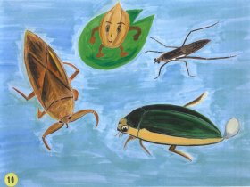 おコメちゃんの友達