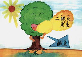 フェアリーの地球探検