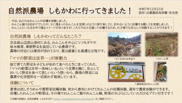 職員の体験レポート
